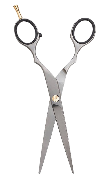 silver scissors